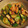 風の町のＰｅｃｏ's cooksnap of when they made タコと胡瓜のごまキムチ和え.