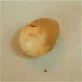れあきち's cooksnap of when they made 半熟うずら卵の漬け込み〜.