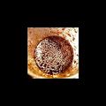 キコちゃん's cooksnap of when they made 自家製 焼肉のタレ.