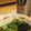 きたろうさん's cooksnap of when they made オクラの月見海苔佃煮和え.