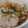 ｺｱﾗ's cooksnap of when they made 冷たい！夏の冷やし卵かけごはん♪.