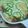 mayuryu's cooksnap of when they made 簡単！ポテトグラタンもどき♪.