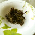 kana叶's cooksnap of when they made 磯仲間ஐひじきとワカメの明太子和え.