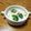 ひだりまき's cooksnap of when they made 干し貝柱とキャベツの中華クリームスープ.