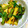 ジンベえちゃん's cooksnap of when they made エリンギとピーマンのカレーマヨ炒め.