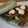 ちぱるのママ's cooksnap of when they made ☆ほうれん草でパニーニ☆.