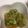 ｒｉｏａｓｕ's cooksnap of when they made 大根おろしオクラポン酢☆.
