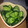 ともぱんたから's cooksnap of when they made 簡単☆塩きゅうり.