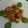 ときじろ's cooksnap of when they made ハモの唐揚げ.