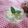 miyuki12's cooksnap of when they made 簡単☆りんごの豆腐アイス.