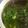 mikanclub's cooksnap of when they made 子供も喜ぶco-opコンソメ野菜スープ♪.