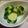 ちんぐりあん's cooksnap of when they made 絶品！胡瓜の漬け物.