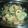 モグタソ's cooksnap of when they made きゅうりと竹輪の味噌マヨ.