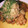 mipoyo's cooksnap of when they made ✽鶏唐揚げのとろろみぞれがけ✽.