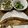 cocue3's cooksnap of when they made なめらか☆ほうれん草のクリーミー白和え.