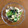 ぎょうざうり's cooksnap of when they made 小松菜と油揚げの煮浸し.