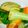 もんごろさん's cooksnap of when they made 薩摩揚げの野菜ゴマ炒め.