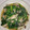 クックAKYJYZ☆'s cooksnap of when they made 豚肉と小松菜の甘辛炒め.
