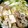 ﾁｮﾎﾞﾋﾟ's cooksnap of when they made 〜あったかすき焼き風煮〜.