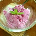 みっほみほ's cooksnap of when they made 簡単♪ブルーベリーでフローズンヨーグルト.