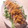 3life's cooksnap of when they made ゆで鶏の中華風ねぎソース.