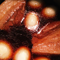 リエルル's cooksnap of when they made 圧力鍋で簡単☆柔らか角煮.