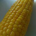 hati32's cooksnap of when they made 粒プリプリ♪トウモロコシの美味しい茹で方.