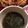 ポヨちママ's cooksnap of when they made 空芯菜とザーサイの元気スープ.