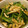 ホッシー17's cooksnap of when they made 定番★小松菜と油揚げのおひたし.