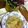 けろにこ's cooksnap of when they made ミンチの代わりに豚バラdeロールキャベツ.