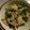 ムラサキシキブ's cooksnap of when they made キュウリと豚肉★おつまみ新生姜炒め.