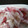 かぴーな's cooksnap of when they made ちくわのマヨポン和え.