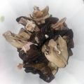 マダムユキ's cooksnap of when they made 生キクラゲでつくる簡単おつまみ.