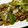 ゆったん＠3NEET's cooksnap of when they made ﾐｮｳｶﾞとﾋﾟｰﾏﾝの挽き肉炒め.