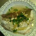 ｋａｍｉｙａｍａ's cooksnap of when they made 真鯛の酒蒸し.
