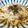 a_jiko's cooksnap of when they made 簡単ランチ、冷やしそば(うどん).