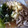 さとみにぃ～'s cooksnap of when they made 冷したぬき蕎麦.