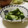 Nana983's cooksnap of when they made 塩麹で☆きゅうりとみょうがの漬物.