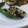 ３児ママCafe's cooksnap of when they made オクラと茗荷、えのきの韓国海苔ごま和え.