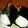 duck2's cooksnap of when they made 海老ちくわの 天むす 甘辛タレ.
