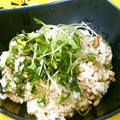 yuushyun's cooksnap of when they made しょうが焼きのサラダご飯。.
