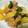jg705y's cooksnap of when they made じゃが芋､ししとう､鶏肉のさっぱり炒め♪.
