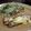 ゆんぴろ's cooksnap of when they made 白身魚のムニエル バジルソースかけ.