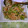 ミｲママ's cooksnap of when they made 大根の葉とツナのふりかけ.