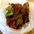 felice☆sy's cooksnap of when they made 野菜の水切り方法.
