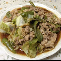 ハル＆なっち's cooksnap of when they made 簡単！本格的！我流回鍋肉！！.