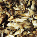 maumamma's cooksnap of when they made マイタケのマリネ　ごま油で.