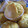 Eremi's cooksnap of when they made *ふわふわ、しっとりマフィン*.