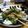 二足歩行のさわ's cooksnap of when they made 甘タレ豚バラのネギ塩ダレ丼！.