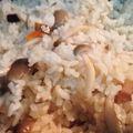 hanawan's cooksnap of when they made リメイク♪煮物の汁で炊き込みごはん.